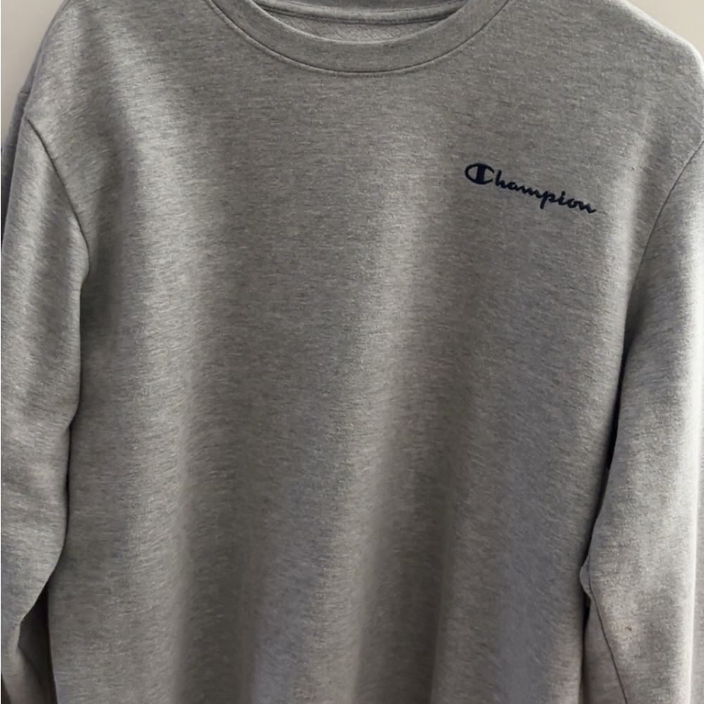 Champion Men's Crewneck Sweater in Gray